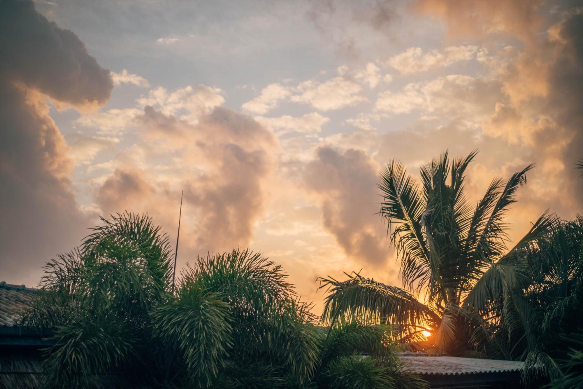 Shell Resort Arugam Bay Eksteriør billede